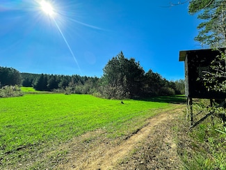 0 Towery Rd Unit 24-4054, Smithville, MS 38870