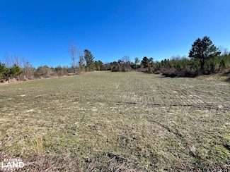 0 County Rd 32, Mollie, AL 36535