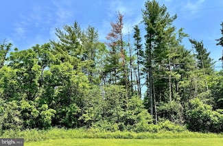 0 Fir Tree Ln Unit MDAL2012106, Cresaptown, MD 21502