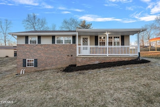 290 Polly Anna Dr, Mosheim, TN 37818