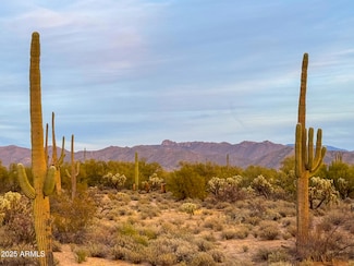 0 S Twin Hawk Ln Lot 4 (5 Acres) -- Unit 6856622, Marana, AZ 85658