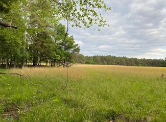 330 Lick Creek Rd, Michie, TN 38357