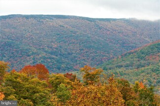 0 Laneville Rd, Dry Fork, WV 26260