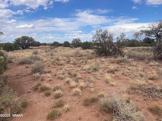 4253 Clydesdale Rd, Snowflake, AZ 85937