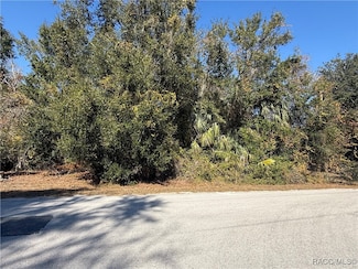 12795 W Flaxen, Crystal River, FL 34428