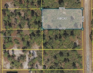 511 Louis Ave, Lehigh Acres, FL 33972