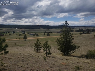 1938 S Mountain Estates Rd, Florissant, CO 80816