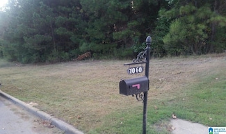 1064 Grande View Pass Unit RESIDENTIAL LOT / 91, Alabaster, AL 35114