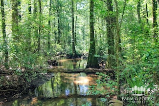 Coates Road (Off), Bonifay, FL 32425