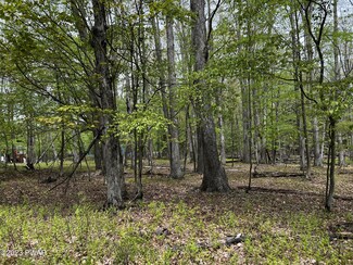 Lot 539 Paper Birch N, Tafton, PA 18464