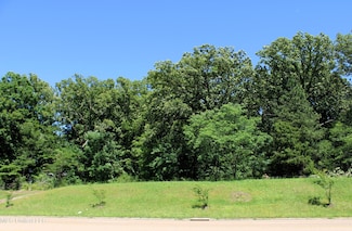 6606 Mississippi 305, Mineral Wells, MS 38654