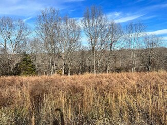 Lot 9 Middlegate Place, Ruth A Township, MO 65737
