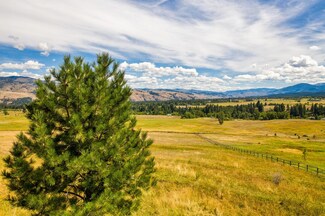 Tract 2-C Stags Leap Rd, Darby, MT 59829