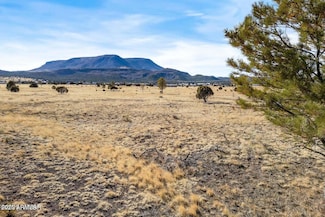 21 N County Road N2002 -- Unit 26, Nutrioso, AZ 85932