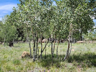 501 Cr-403, Florissant, CO 80816
