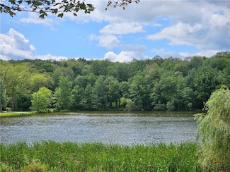9 Blythelea Rd, Monroe, NY 10950