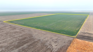 0000 County Road 11, Tribune, KS 67879