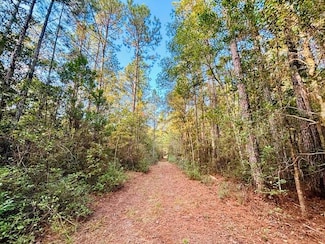 15 Acres E Moran Rd, Pearl River, LA 70452