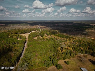 0 Oscar Lee Rd, Poplarville, MS 39470
