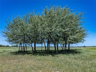 7239 Meiners Rd, Ledbetter, TX 78946