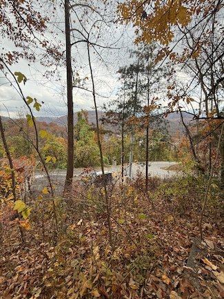 278 Greystone Heights Rd, Gatlinburg, TN 37738