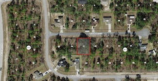 2502 W Lawrence Ct, Pine Ridge, FL 34434