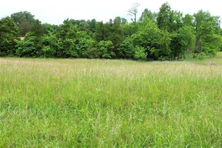 695 Calvert Rd, Adolphus, KY 42120