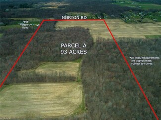 Parcel A Norton Rd, Hiram, OH 44231