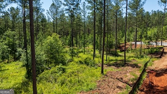 LOT 16 Indigo Trail, Newnan, GA 30263