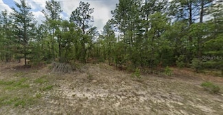6657 N Waterman Dr, Pine Ridge, FL 34433