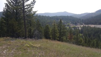 Tract A Gong Rd, Philipsburg, MT 59858