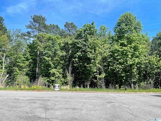 0 Fern Creek Cir Unit 8-A 21417668, Springville, AL 35146
