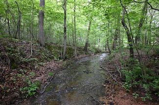 163 Fern Springs Rd, Hohenwald, TN 38462