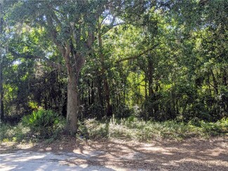Lot 8 Horizon Rd, Darien, GA 31305