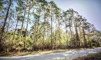 2695 Trinity Ave SE, Palm Bay, FL 32909