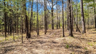 0 Us Highway 278, Monticello, AR 71655