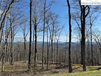 TBD Elk Creek Mountain Pkwy, Todd, NC 28684