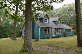 4581 E Cedar Lake Dr, Greenbush, MI 48738