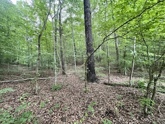 1030 Tennessee 438, Lobelville, TN 37097
