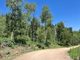 1981 S Uintah View Dr, Coalville, UT 84017