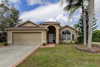 10231 Charleston Corner Rd, Tampa, FL 33635