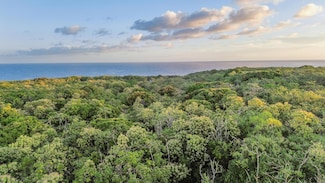 0 Government Beach Rd Unit 716142, Pahoa, HI 96778