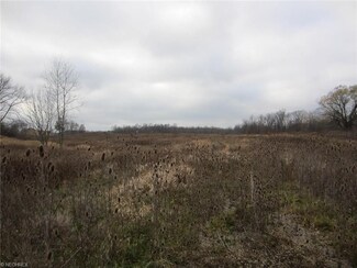 9620 Pawnee Rd, Homerville, OH 44235