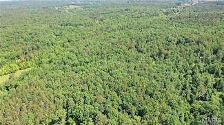 1394 (Parcel C) County Road 6580, Salem, MO 65560