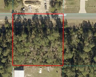 Lot 17 SW 112th St, Liberty Triangle, FL 34476