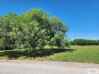 0 Kika de La Garza Cir, Primera, TX 78552