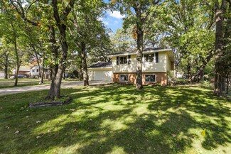 3127 131st Ave NW, Coon Rapids, MN 55448