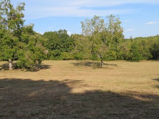 000 Missouri 215, Dadeville, MO 65635