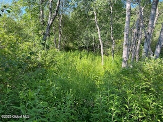 L9 New York 162, Esperance, NY 12066