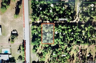 3005 Kerry St, Inverness, FL 34452